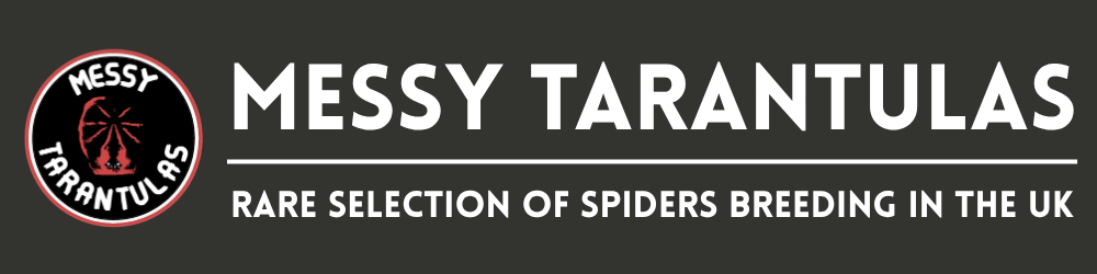 Messy Tarantulas